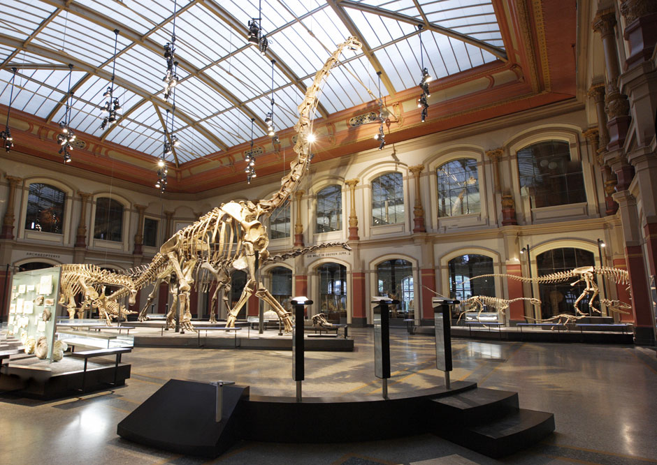 Berlin Museum Of Natural History Berlin Museum Of Natural History